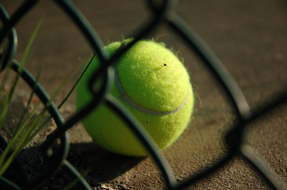 El ranking ATP se mueve: diez argentinos siguen entre los 100 mejores del mundo