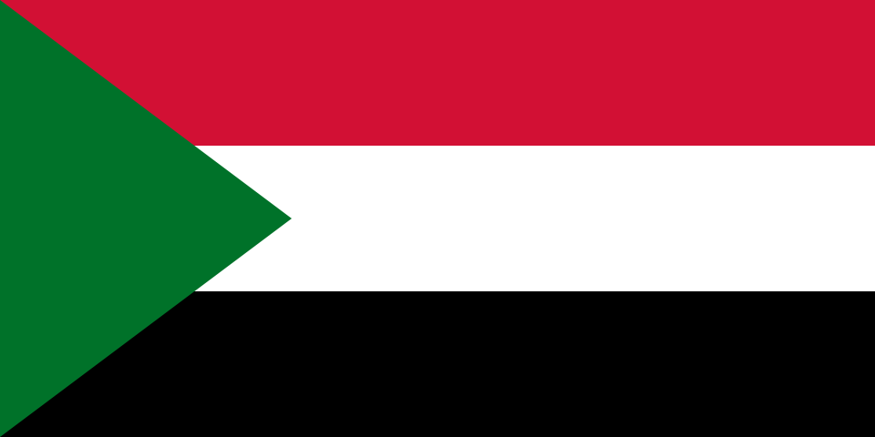 La guerra en Sudán no cede: la ONU advierte sobre señales de genocidio en Darfur